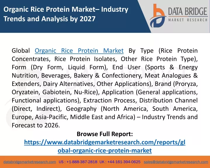 organic rice protein market industry trends