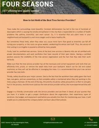 how to get hold of the best tree service provider