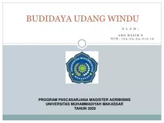 budidaya udang windu