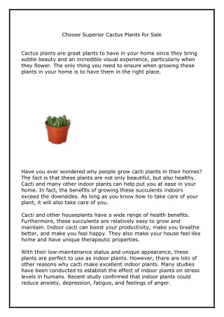 Choose Superior Cactus Plants for Sale