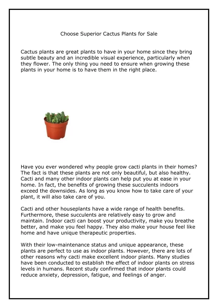 choose superior cactus plants for sale