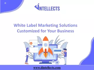 White Label Marketing Solutions Customized for Your Business