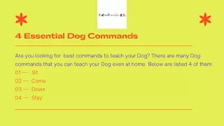 4 Essential Dog Commands