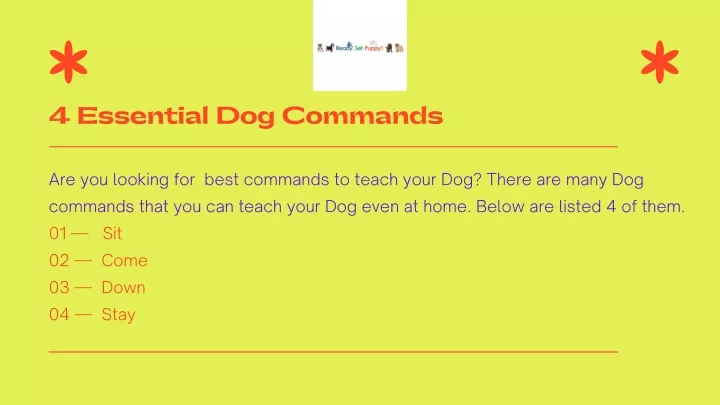 4 essential dog commands