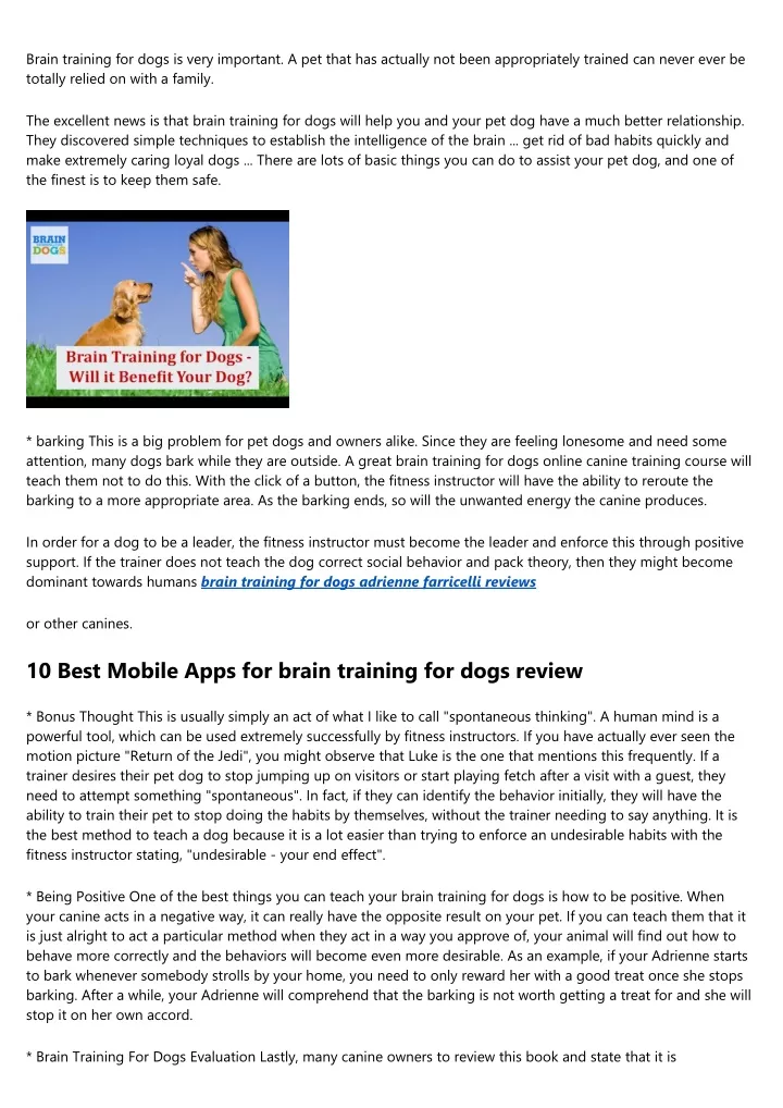brain training for dogs is very important