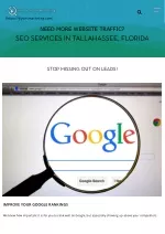 SEO Tallahassee - slide 1