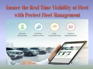 Ensure the Real Time Visibility of Fleet with Perfect Fleet Management