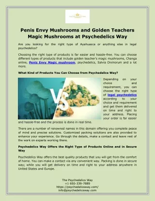 Penis Envy Mushrooms and Golden Teachers Magic Mushrooms at Psychedelics Way