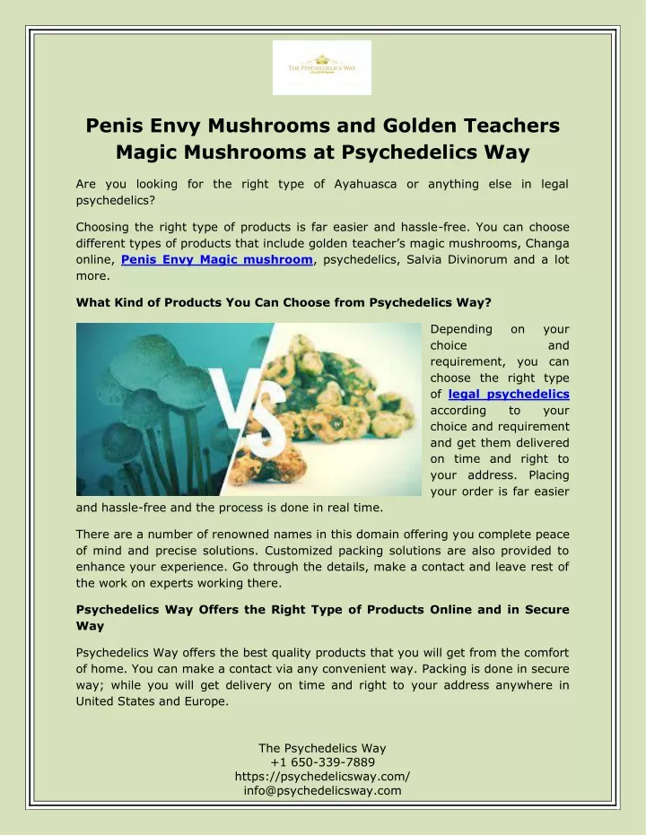 penis envy mushrooms and golden teachers magic