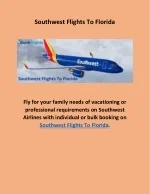 Southwest Flights To Florida - slide 1
