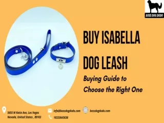 Buy Isabella Dog Leash: Buying Guide to Choose the Right One