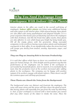 Why You Need To Engage Your Workspace With Indoor Office Plants