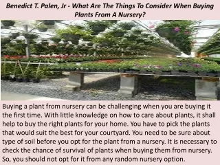 benedict t palen jr what are the things to consider when buying plants from a nursery