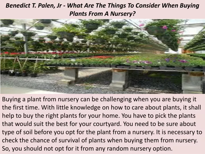 benedict t palen jr what are the things to consider when buying plants from a nursery