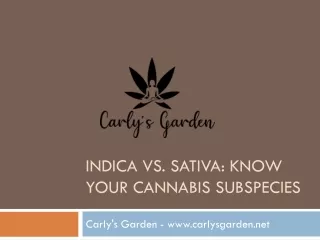 Shop Indica Strain Cannabis Flowers Online – Carly's Garden