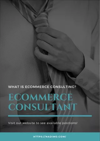 Ecommerce Business Consultant