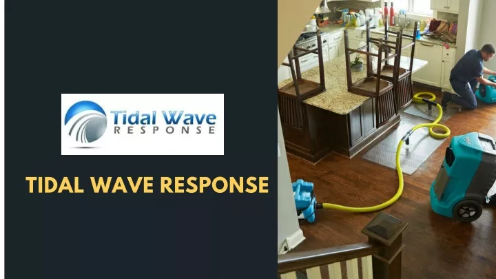 tidal wave response
