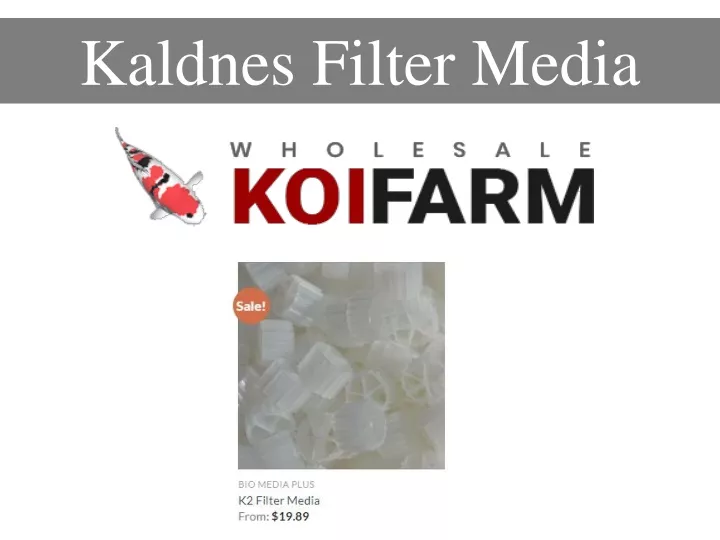 kaldnes filter media