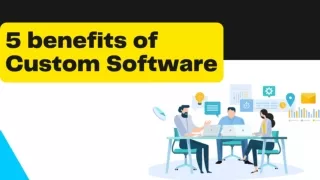 5 benefits of Custom Software