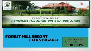 FOREST HILL RESORT