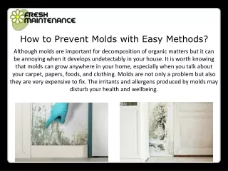 How to Prevent Molds with Easy Methods