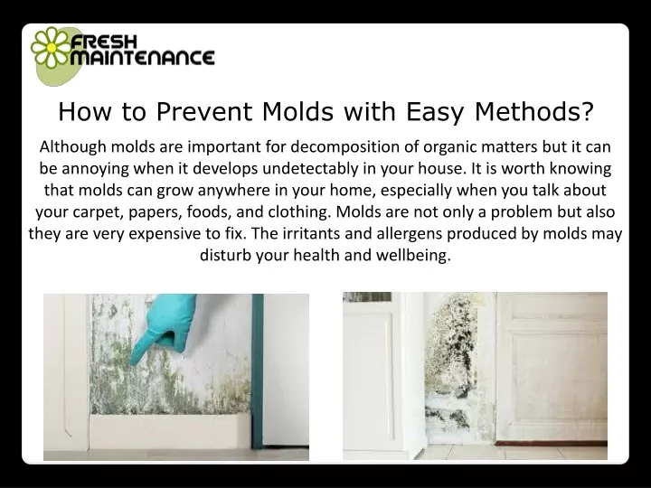 how to prevent molds with easy methods