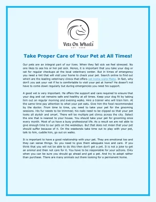 Take Proper Care of Your Pet at All Times!