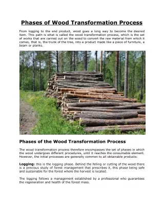 Phases of Wood Transformation Process