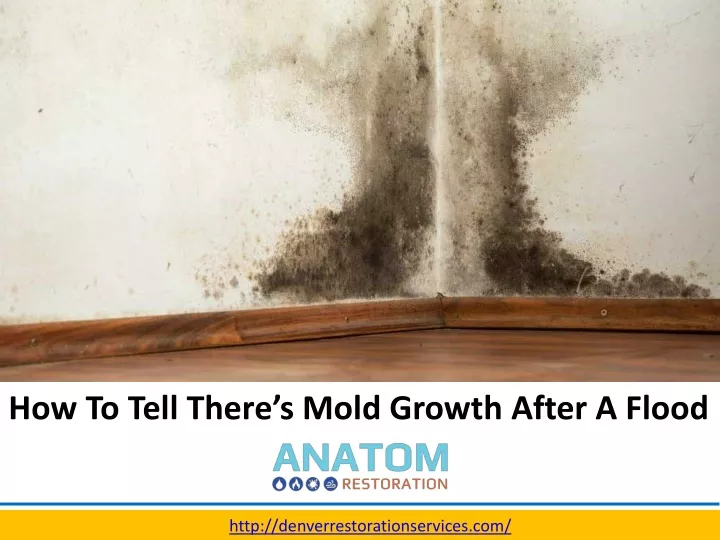 how to tell there s mold growth after a flood