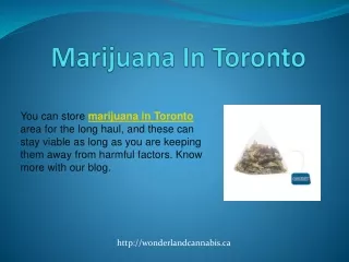 Marijuana In Toronto