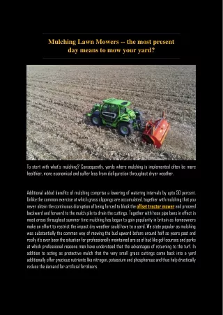 Flail mower | TIERRE GROUP Srl | Italy