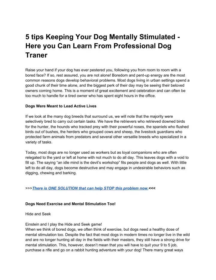 5 tips keeping your dog mentally stimulated here