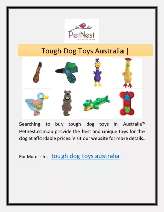 tough dog toys australia
