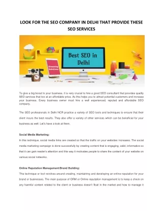 LOOK FOR THE SEO COMPANY IN DELHI THAT PROVIDE THESE SEO SERVICES