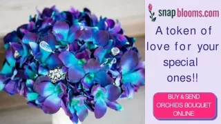 Send Orchid Bouquet Online | Get Customized & Send On The Same Day - Snap Blooms