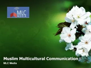 m uslim multicultural communication