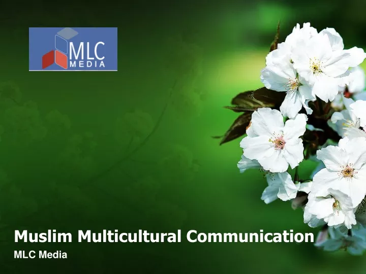 m uslim multicultural communication