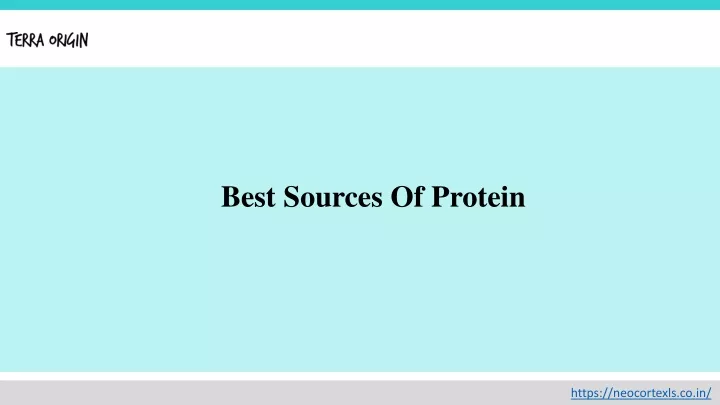 best sources of protein