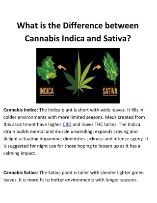 What is the Difference between bud Indica and Sativa?