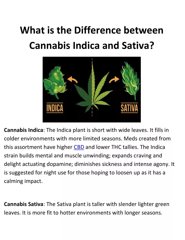 what is the difference between cannabis indica