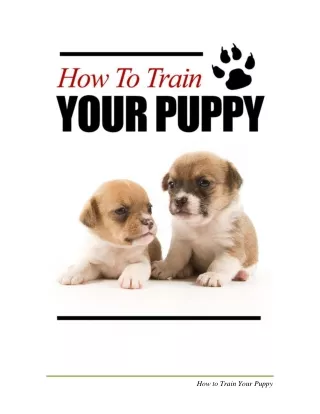 How to train your puppy.