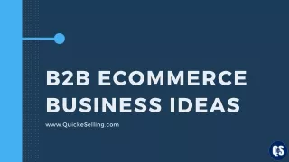 b2b ecommerce business ideas