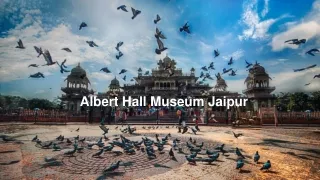 The Albert Hall Museum One of the Oldest Museum in Jaipur, Rajasthan