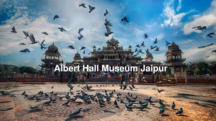 albert hall museum jaipur