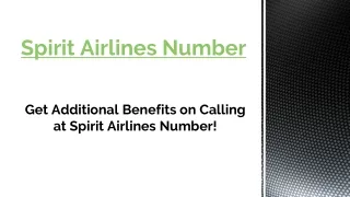 spirit airlines number
