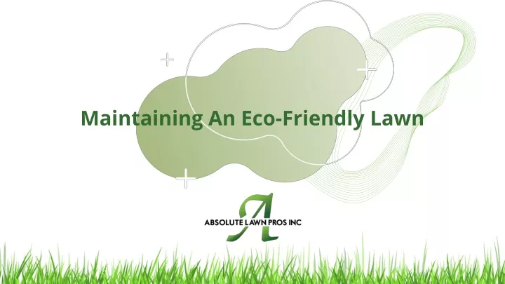 maintaining an eco friendly lawn