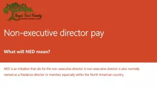 non executive director pay