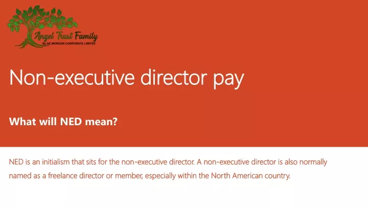 non executive director pay