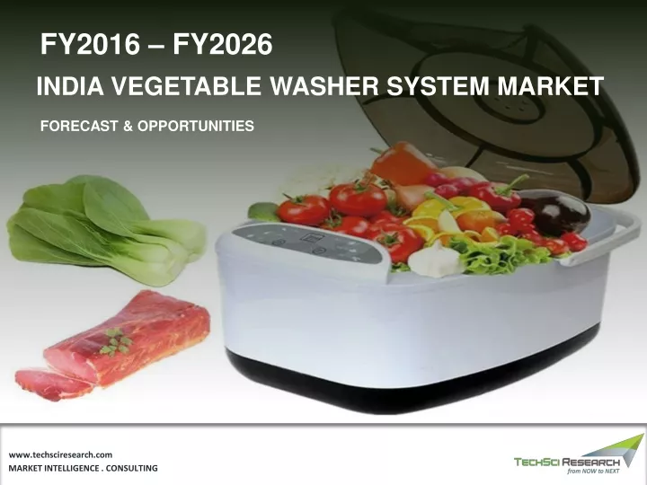 fy2016 fy2026 india vegetable washer system market