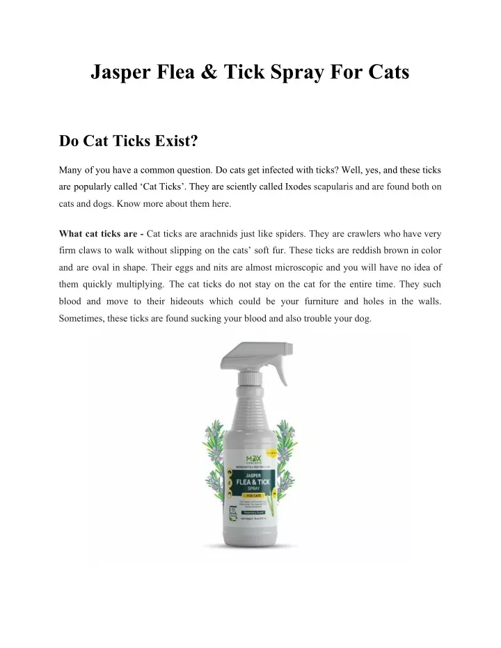 jasper flea tick spray for cats